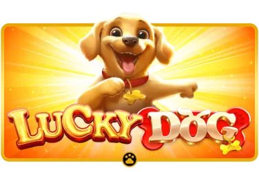 MBG366 lobby game lengkap taruhan olahraga dan live casino